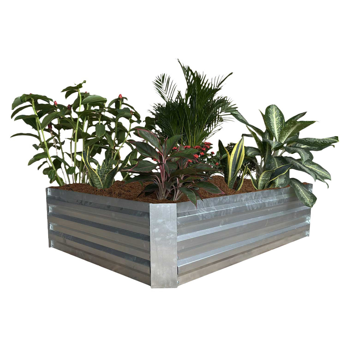 Grapevine Galvanized Steel Raised Garden Bed Grapevine Galvanized Steel Raised Garden Bed
